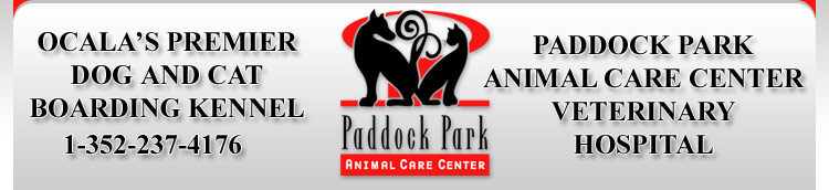 Ocala dog boarding, dog kennels Ocala, dog boarding Ocala, cat kennels Ocala, cat boarding Ocala, Ocala kennel, Ocala boarding